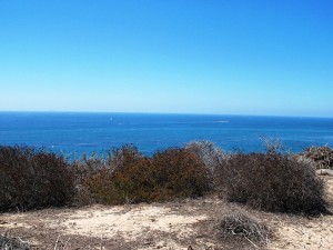 ocean view 2