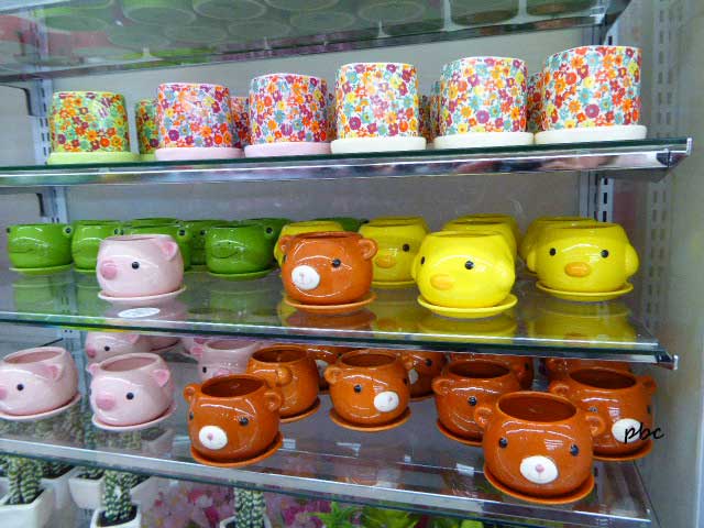 Colored-pots