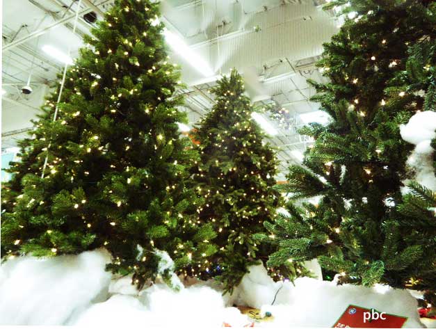 Christmas-trees