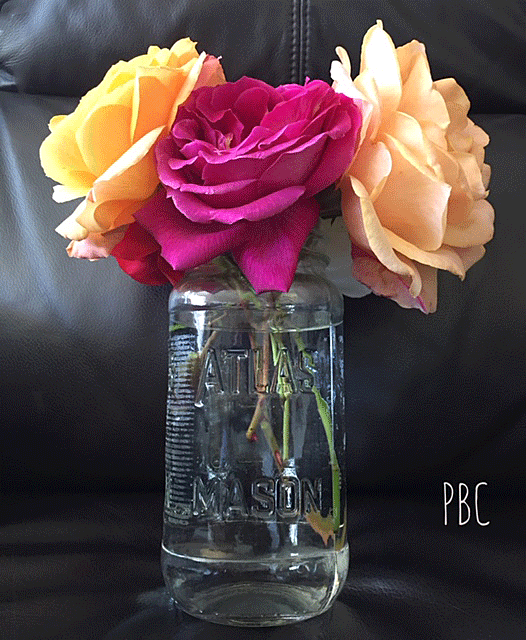 A glass jar of roses