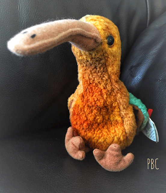 Beak Ty baby Kiwi Bird