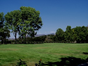 Beautiful grounds of the Fess Parker Winery