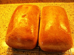 Shiny Bread