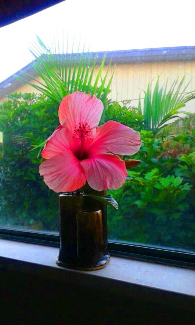 Large pink flower