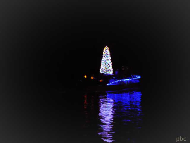 Blue-boat-with-a-Christmas-tree