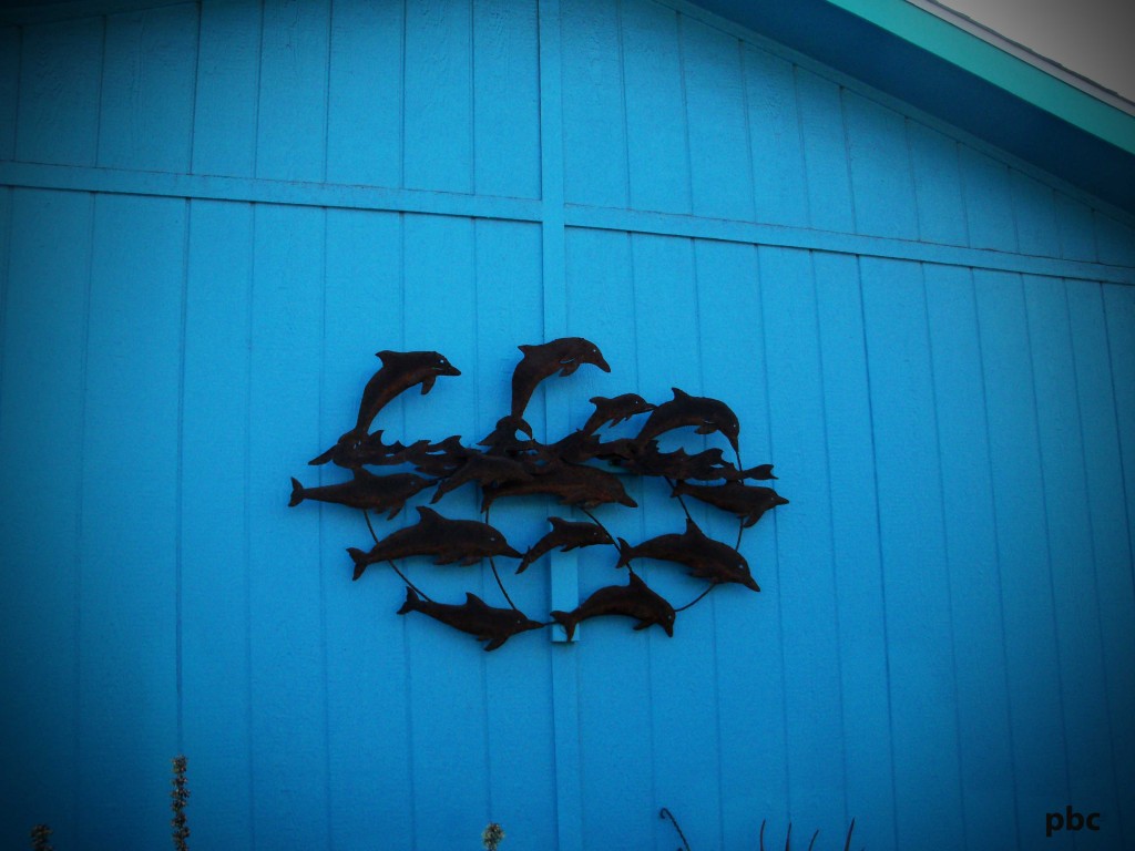 Dolphins-on-house-wall