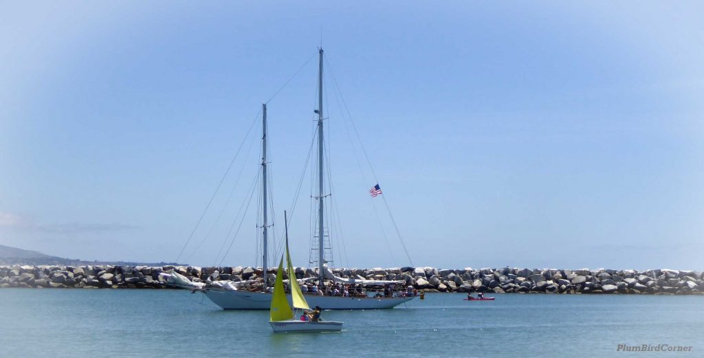 Sail-Boats-Dana-Point
