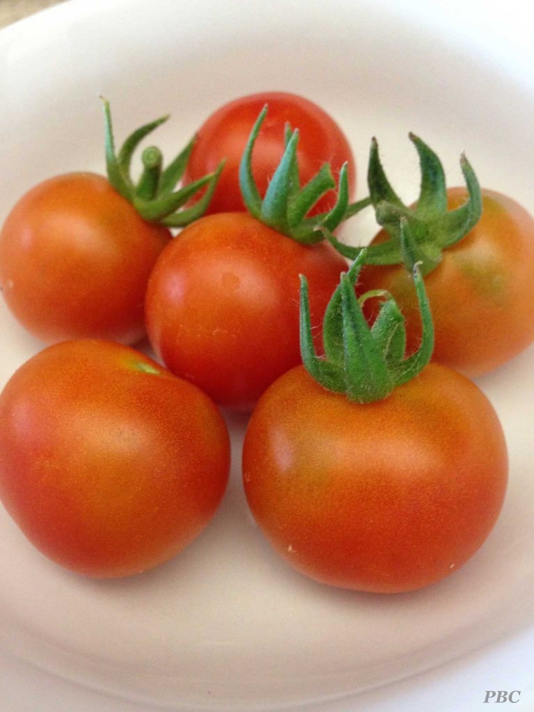 Cherry-tomatoes
