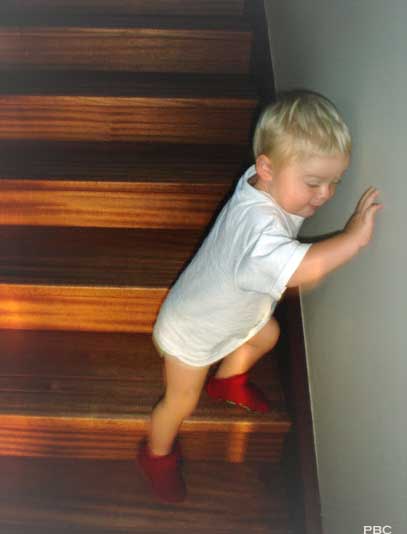 charlie-on-the-stairs-new-zealand