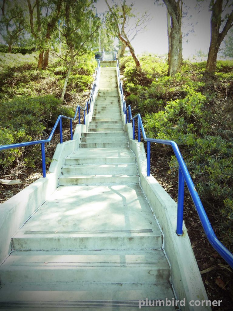 lake-stairs