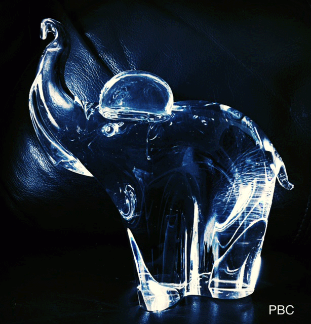 glass elephant